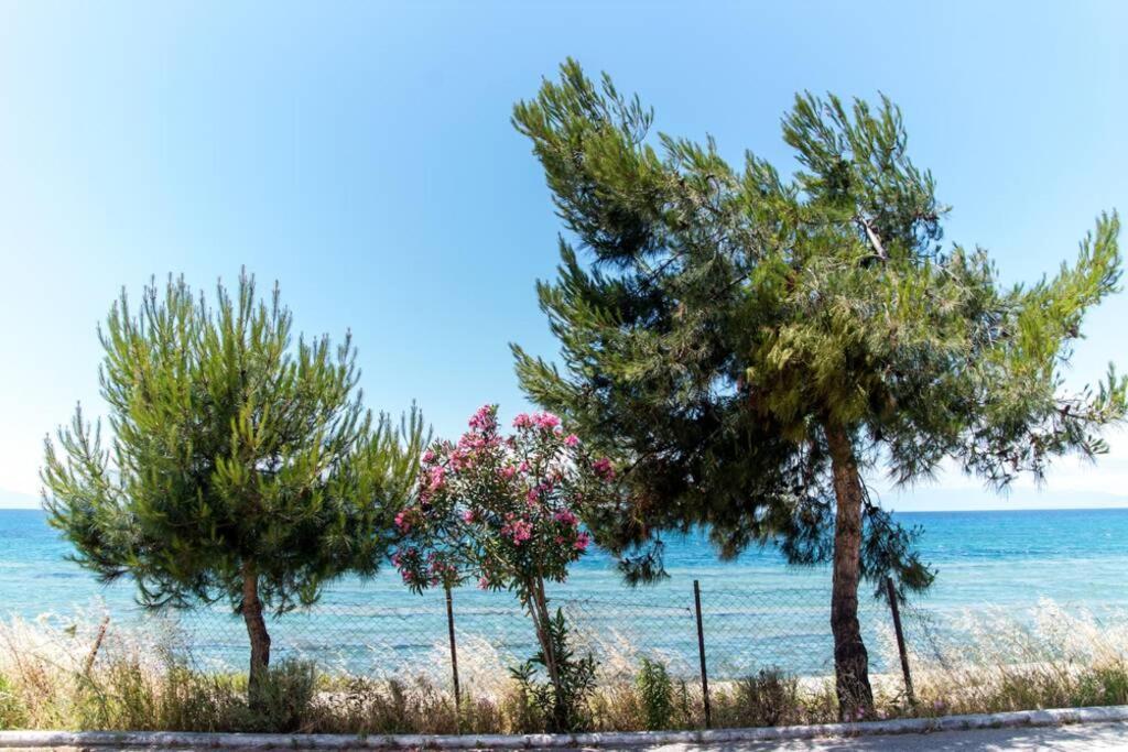 Seafront 2 Bedrooms Apartment Néa Iráklia Eksteriør bilde