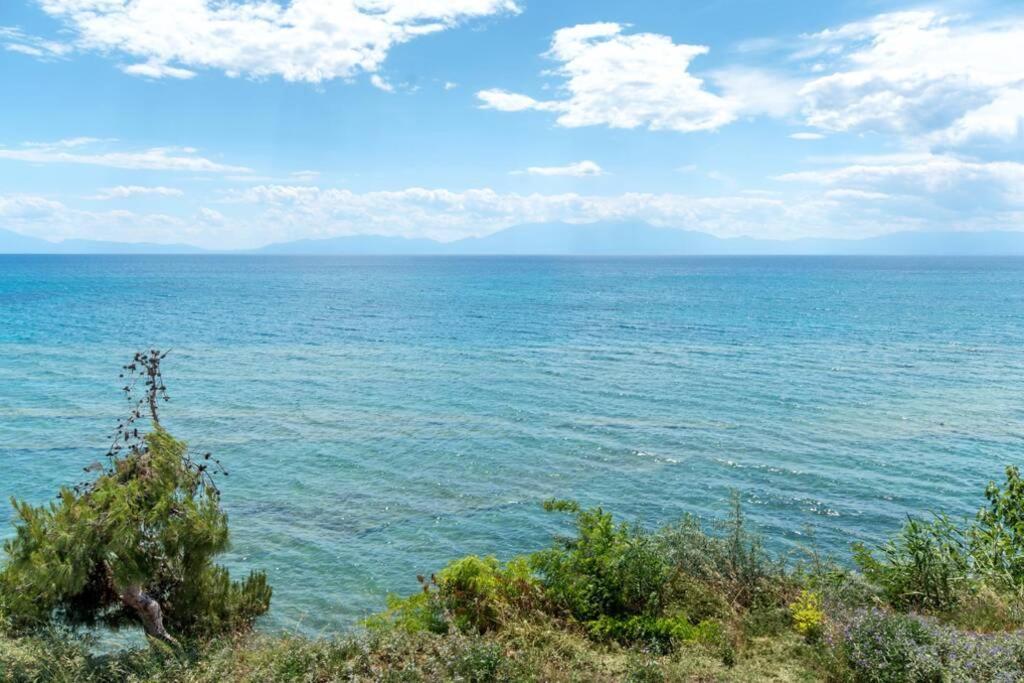 Seafront 2 Bedrooms Apartment Néa Iráklia Eksteriør bilde